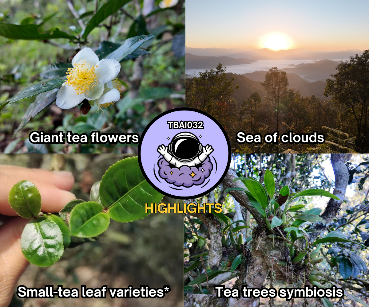 TBAI032 - Background - EN